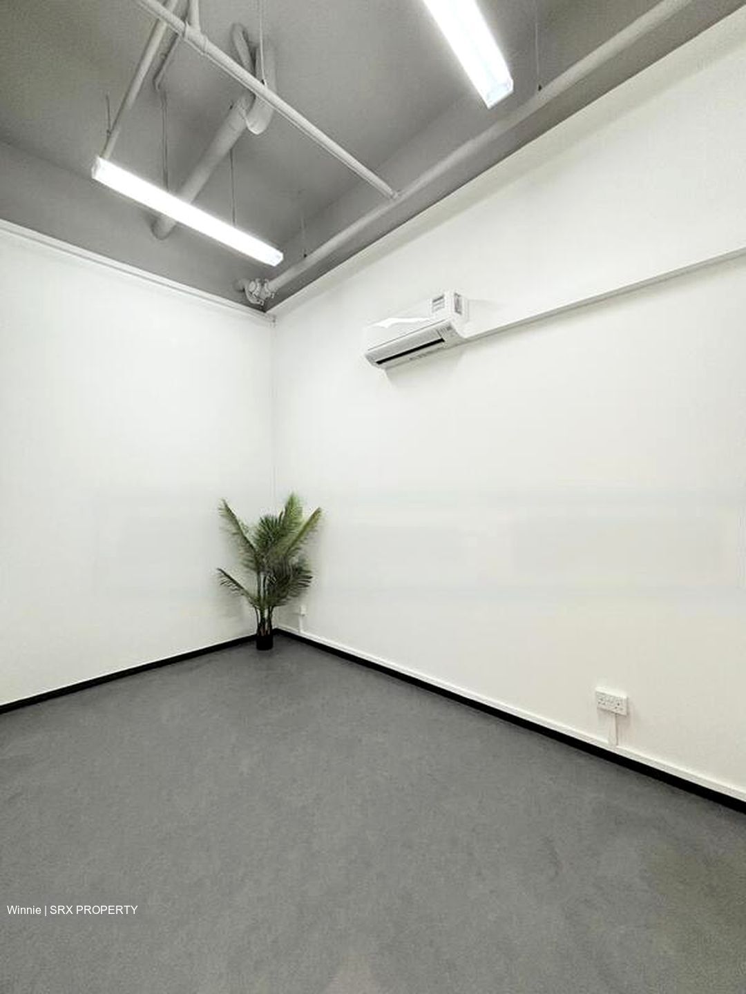 Primz Bizhub (D25), Factory #463004801